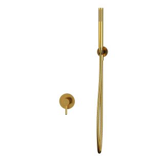 Встраиваемый смеситель для душа WHITECROSS Y YSET02GLB брашированное золото